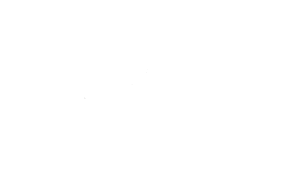 Belgium chocolatiers