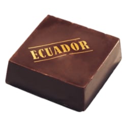 Ecuator