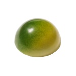 S - Matcha